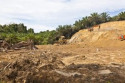 The UNEP found major financial institutions have few policies in place to counter deforestation